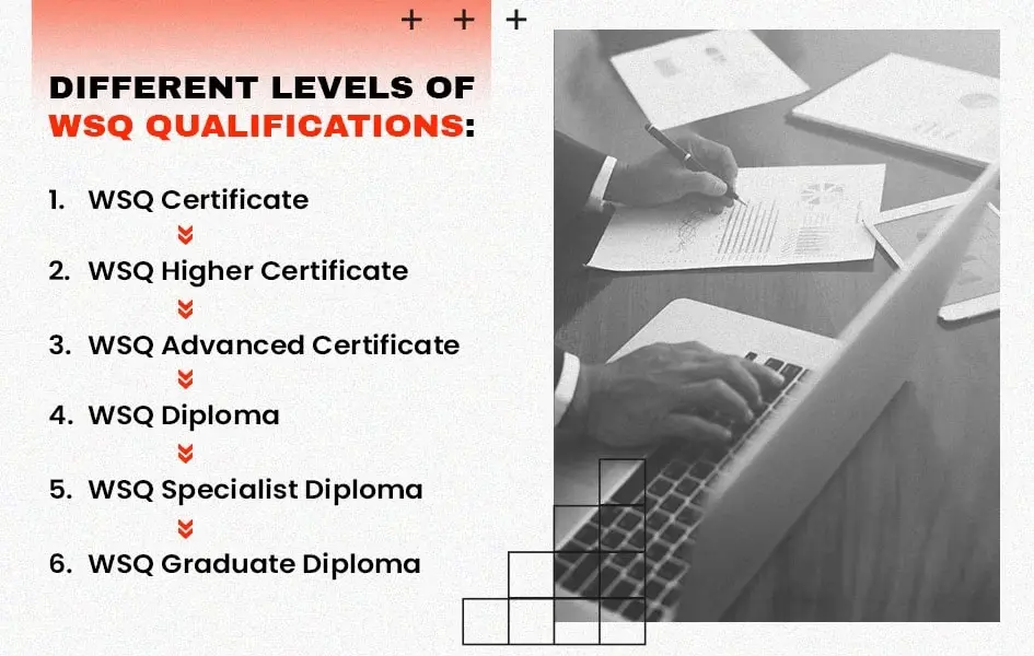 Different Levels of WSQ Qualifications