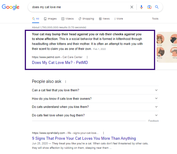 Featured Snippet Example